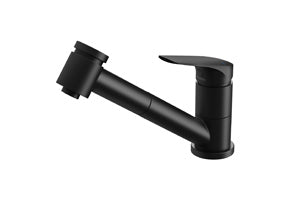 Ivy MKII Pull Out Sink Mixer