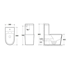 Elle Rimless Wall Faced Toilet Suite-6098
